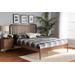 Baxton Studio Neilan Modern and Contemporary Walnut Brown Finished Wood King Size Platform Bed - Wholesale Interiors MG0058-Walnut-King