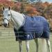 SmartPak Ultimate Stable Blanket with COOLMAX Technology - 81 - Med/Lite (100g) - Navy w/ Charcoal & Grey Trim & White Piping - Smartpak