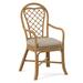 Braxton Culler Trellis Dining Arm Chair Upholstered/Wicker/Rattan in Gray/Black | 40 H x 23 W x 23 D in | Wayfair 979-029/0805-91/HONEY