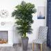 Bayou Breeze Artificial Palm Tree in Planter Silk/Plastic/Stone in Gray | 84 H x 45 W x 40 D in | Wayfair 1B85F8E8D61740A5A6CC5DEAA9817936