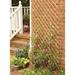 MGP 4-Piece Carbonized Skinless Willow Wood Expanding Trellis Wood in Brown | 60 H x 72 W x 1 D in | Wayfair WCFF-60-4