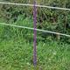 Purple 5FT Poly Post 155cm Tall Plastic Fencing Stake | Reinforced Electric Fence Pole | Ideal for Temporary Horse Electric Fences | Portable Paddock Fencing Equestrian Livestock Grazing Control (20)