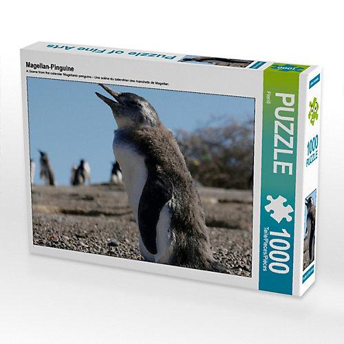 Puzzle Magellan-Pinguine Foto-Puzzle Bild von Flori0 Puzzle