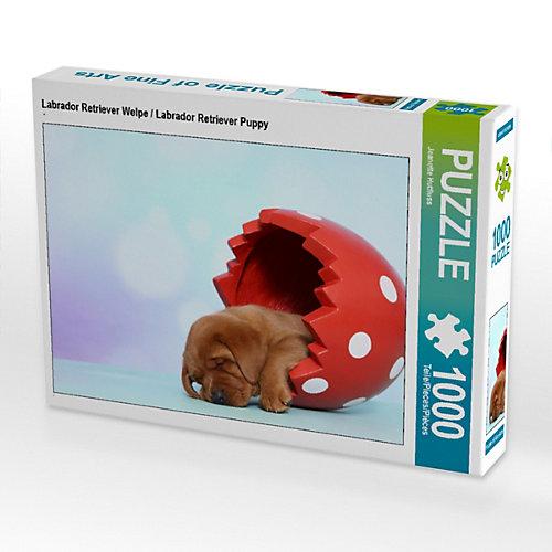 Puzzle CALVENDO Puzzle Labrador Retriever Welpe / Labrador Retriever Puppy - 1000 Teile Foto-Puzzle glückliche Stunden Kinder