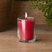 Root Candles Hollyberry Scented Votive Candle Beeswax/Paraffin in Red | 2.13 H x 2 W x 2 D in | Wayfair 31568