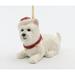 The Holiday Aisle® Christmas Westie Ornament Ceramic/Porcelain in White | 2.5 H x 1.75 W x 3.13 D in | Wayfair 4929922AF603468B93315E58EAE9DC5D