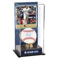 Anthony Rizzo New York Yankees Autographed Baseball and Debut Gold Glove Display Case with Image