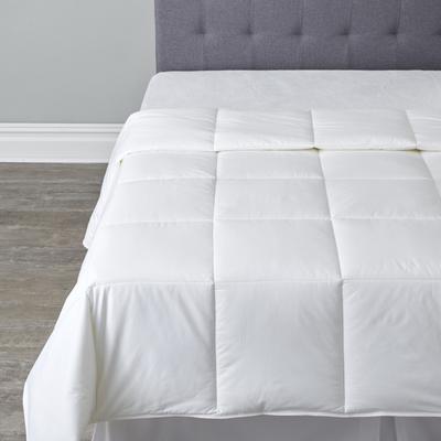 Coolmax Anti-Bacterial Comforter by BrylaneHome in White (Size FULL)