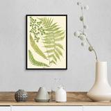 Red Barrel Studio® Ferns w/ Platemark III Canvas Wall Art Canvas in Green | 16 H x 12 W x 2 D in | Wayfair 1030009233694A45B2219D8C29BC614D