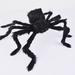 The Holiday Aisle® Hairy Spider For Halloween Decoration in Black, Size 49.25 W x 0.0 D in | Wayfair 42E8C76D48884D1399C418ED7704C6A8