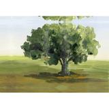 Winston Porter Green Tree Lonesome Paint - Wrapped Canvas Painting Print Canvas in White | 24 H x 36 W x 1.25 D in | Wayfair