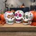 The Holiday Aisle® Day Of The Dead Skull Assortment Resin | 3 H x 7.5 W x 3 D in | Wayfair EE49B339A6644E2CBCCC5D704ECCF5F2