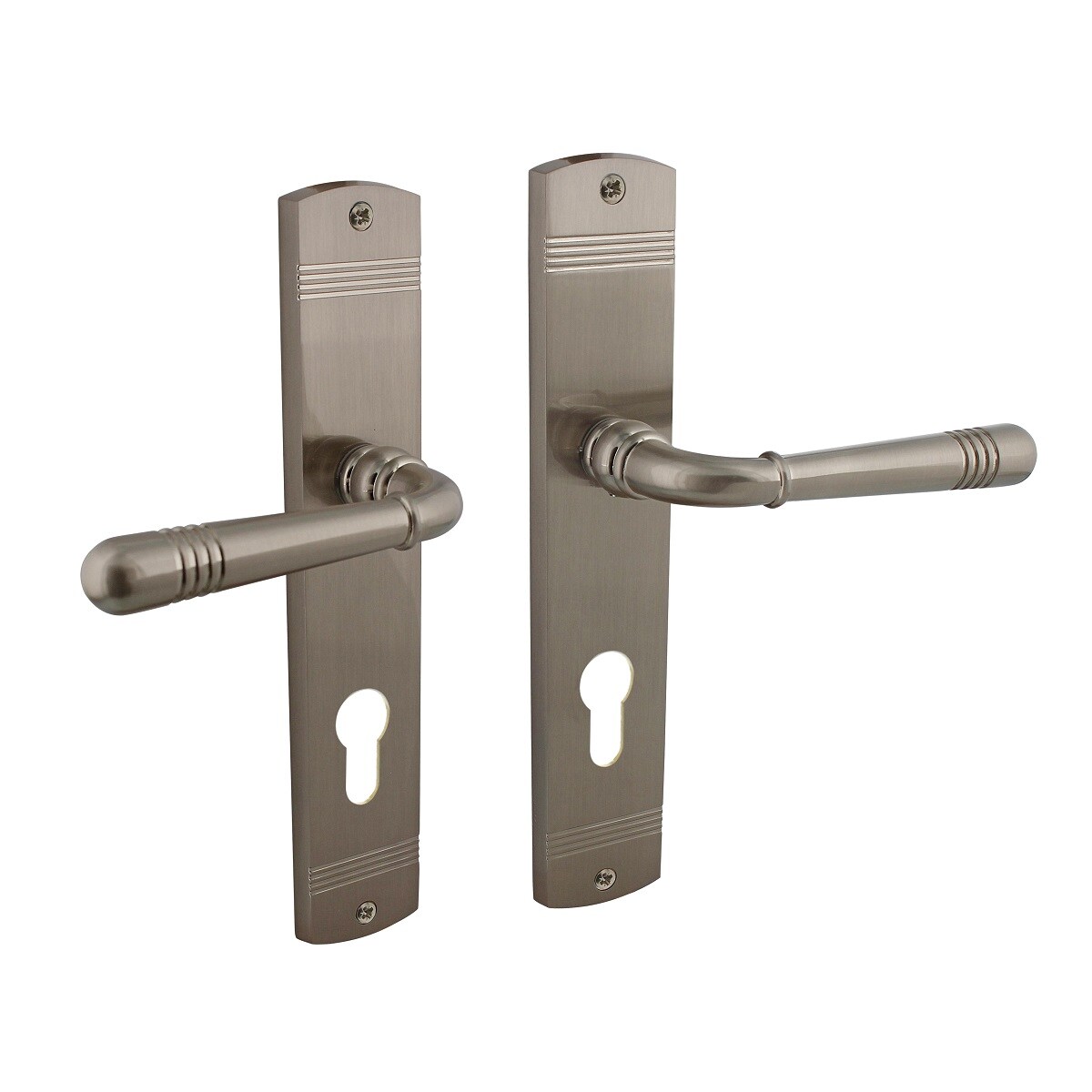 MS Beschläge Schildgarnitur matt vernickelt Türdrücker Langschild Türgriff Zamak Profilzylinder Image
