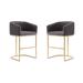 Louvre 36 in. Grey and Titanium Gold Stainless Steel Counter Height Bar Stool (Set of 2) - Manhattan Comfort 2-CS009-GY