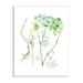 Stupell Industries Dill Greens Best Of Herbs Watercolor Garden Plants White Framed Giclee Texturized Art By Verbrugge Watercolor in Brown | Wayfair