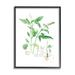 Stupell Industries Basil Plant Best Of Herbs Watercolor Garden Greens XXL Stretched Canvas Wall Art By Verbrugge Watercolor in Brown | Wayfair