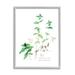 Stupell Industries Mint Sprigs Best Of Herbs Watercolor Garden Plants Gray Farmhouse Rustic Oversized Framed Giclee Texturized Art By Verbrugge Watercolor | Wayfair