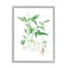 Stupell Industries Basil Plant Best Of Herbs Watercolor Garden Greens XXL Stretched Canvas Wall Art By Verbrugge Watercolor in Brown | Wayfair