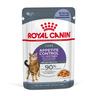 Royal Canin Appetite Control Care in Gelee - 48 x 85 g