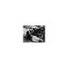 Marlon Brando & Mary Murphy in The Wild One - Photograph Metal in Black/White Globe Photos Entertainment & Media | 8 H x 10 W x 0.1 D in | Wayfair