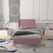 Everly Quinn Upholstered Low Profile Platform Bed Velvet, Metal in Pink | 41 H x 43 W x 80 D in | Wayfair BFFA7CA6DD204EF2BDFB42A9FF978602