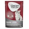 Concept for Life Maine Coon Adult (a base di pregiato ragù) - 12 x 85 g