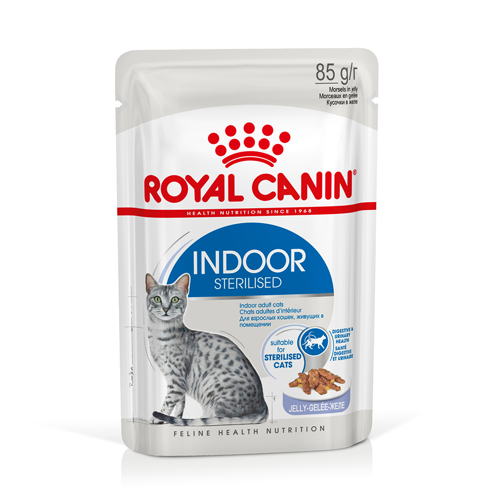 Royal Canin Indoor Sterilised umido in Gelatina per gatti - Set %: 24 x 85 g