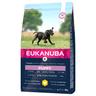 Eukanuba Puppy Large Breed Pollo - 3 kg