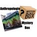 Anthropologie Dresses | Anthropologie Mystery Box! Reseller Box 5 Items | Color: Green | Size: Assorted