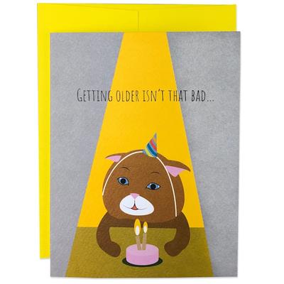 Moose & Pig Getting Older Cat Birthday Card