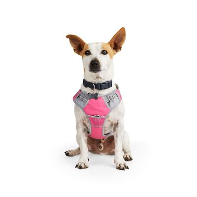 EveryYay Front Walking Reflective Dog Harness, Pink, Small