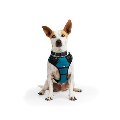 EveryYay Front Walking Reflective Dog Harness, Teal, X-Small