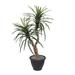 Primrue Artificial Marginata Tree Silk/Plastic in Gray | 48 H x 30 W x 30 D in | Wayfair 1C1A091356D54128BD2133D701604415