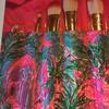 Lilly Pulitzer Bags | Lilly Pulitzer Make Up Brush Set And Case. One Case And 5 Brushes | Color: Blue/Pink | Size: Os