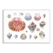 Stupell Industries Nautical Shell Watercolor Study Patterned Aquatic Life Oversized Stretched Canvas Wall Art By Verbrugge Watercolor | Wayfair