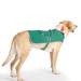 Green Dog Rain Coat, Large