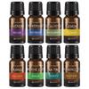 SpaRoom Aromatherapy 100% Pure Essential Oil, 5 mL, Assorted Pack of 8