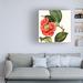 Red Barrel Studio® Cropped Antique Botanical III by Vision Studio - Wrapped Canvas Painting Canvas, Wood in Black | 35 H x 35 W x 2 D in | Wayfair