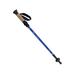 ALPS Mountaineering Excursion Trekking Pole Aluminum SKU - 460269