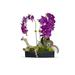 T&C Floral Company Agate Slabs Orchids In Planter Plastic in Indigo | 24 H x 18 W x 18 D in | Wayfair S2152BKF