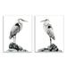 Stupell Industries Great Herons Standing Rocks Black White Bird Portraits 2 - Piece Graphic Art Set in Black/Gray | 19 H x 13 W x 0.5 D in | Wayfair