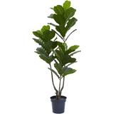 Primrue 65” Fiddle Leaf Tree UV Resistant (Indoor/Outdoor) | 65 H x 24 W x 20 D in | Wayfair C65747D149AD400083D241FE232DA15A