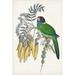 Bayou Breeze Tropical Bird & Flower II by Vision Studio - Wrapped Canvas Painting Canvas, Wood | 12 H x 8 W x 1.25 D in | Wayfair