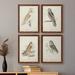 Loon Peak® Barn Owl Premium Framed Canvas - Ready To Hang Canvas, Wood in White | 47 H x 31.5 W in | Wayfair 632D3B34357746898E5C195BF641942C