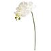 28" Orchid Phalaenopsis Artificial Flower Stem (Set of 6) - H: 28 In. W: 5 In. D: 2 In.