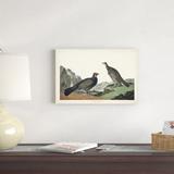 Red Barrel Studio® Pl 361 Long-Tailed Or Dusky Grouse Canvas | 12 H x 18 W x 1.25 D in | Wayfair 7E558BDD3F8F447F937313574BF11DB9