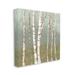 Stupell Industries Contemporary Birch Tree Bark Soft Forest Landscape by Jennifer Goldberger - Painting Print on Canvas in Green | Wayfair