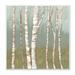 Stupell Industries Contemporary Birch Tree Bark Soft Forest Landscape by Jennifer Goldberger - Painting Print on Canvas in Green | Wayfair