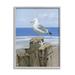 Stupell Industries Summer Seagull & Starfish Nautical Beach Post Black Framed Giclee Texturized Art By Sally Swatland Canvas in Blue | Wayfair