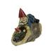 Arlmont & Co. Garden Gnome Resin/Plastic in Blue/Brown/Red | 9 H x 9.25 W x 5.25 D in | Wayfair EE535CAE486546B38C9018C008841A0C